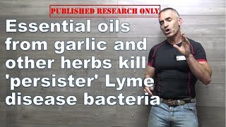 Essential oils from garlic and other herbs kill persister Lyme disease bacteria [upl. by Enelkcaj]