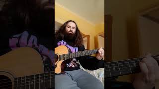 Tetrachromacy King Gizzard guitar cover acoustic guitarcover psychodelicrock shorts love [upl. by Cordova]