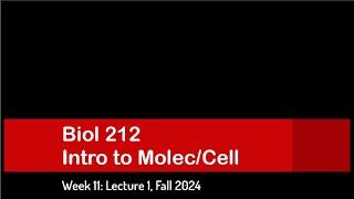 CSULB Biol 212 Fall 2024  Week 11 Lecture 1 [upl. by Letsirhc414]