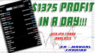 1375 Profit In A Day  Robot Trading  Manual Trading  USDJPY Trade ANALYSIS  Best EXPERT ADVISOR [upl. by Adela]