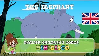 The Elephant  children’s songs  nursery rhymes  kids dance songs by Minidisco [upl. by Abdul551]