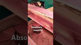 Hm122 7hp bansaw milling one of the most beautiful timbers [upl. by Inkster]