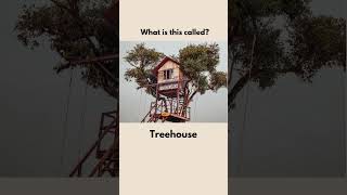 Types of Houses Vocab 4 [upl. by Grata]