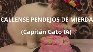 CALLENSE PENDEJOS DE MIERDA Capitán Gato IA [upl. by Adraynek]