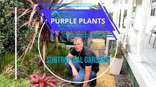 Top Ten Purple Leaves Red leaves Fillers and Small ShrubsTree Great for Subtropical Gardens [upl. by Berner531]