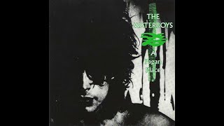 THE WATERBOYS  A Pagan Place [upl. by Esinek514]