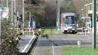 Rheinbahn NF6 am Düsseldorf Uni OstBotanischer Garten [upl. by Eicats]