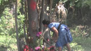 La virgen De Guadalupe Se Apareció En Un Árbol entre El Salvador y Guatemala [upl. by Dahl]