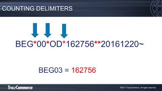 EDI Basics Reading X12 EDI [upl. by Westbrook362]