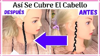 TRENZAS AFRICANAS CON EXTENSIONES  ¡Oculta El Cabello En 3 Pasos [upl. by Driskill]