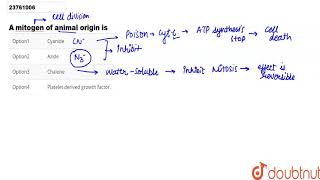 A mitogen of animal origin is [upl. by Vasta]