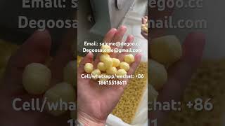 Corn puff cheese sticks machine twin screw extruder maize puffy machine maker snackmachine [upl. by Aciria]