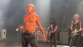 Iggy Pop  I Wanna Be Your Dog with Slash LIVE [upl. by Paz713]