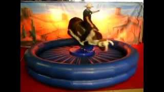 Bullriding mit blauem Kissen [upl. by Eira]