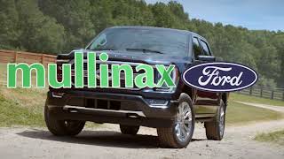 Go for Simple Easy Fun Mullinax Ford of Olympia Car Buying Experience [upl. by Coffey]