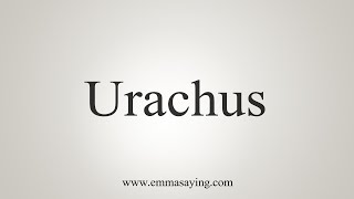 How To Say Urachus [upl. by Holli]