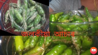 মুখত মই কি sunscreen লগাও daily vlogজলকীয়া আচাৰ কি দৰে বনালো chili pickle recipe [upl. by Killoran26]