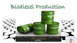 BIODIESEL PRODUCTION Tamil CSIR NET TNSET GATE  BSc MSc PhD Subhas Life Science [upl. by Eenyaj]