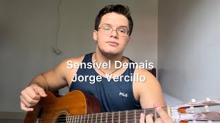 Sensível Demais  Jorge Vercillo Leo Paracampo Cover [upl. by Dinsmore]