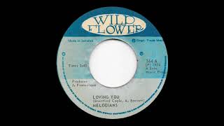 The Melodians  Loving You  Version 1974 [upl. by Clyve656]