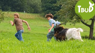 Bocksprünge Folge 7  Tiere bis unters Dach  SWR Plus [upl. by Ihteerp]