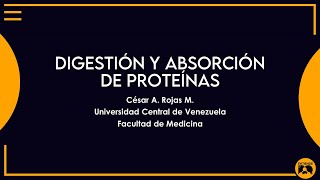 Digestion y Absorcion de proteinas [upl. by Emmalyn639]