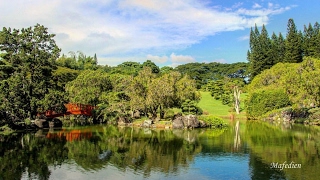 Jardín Botánico de Santo Domingo [upl. by Hilde]