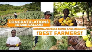 REGIONAL BEST FARMERS  BONO EAST amp BRONG AHAFO REGION bono brong regions ghana [upl. by Ariella82]