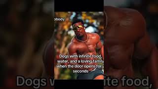 Pov dogs meme trending [upl. by Dnomyar]