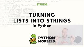 Turn a list into a string in Python with the string quotjoinquot method [upl. by Annaeoj]