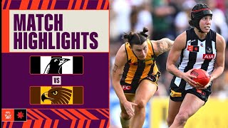 Collingwood v Hawthorn Highlights  Week Two 2024  AFLW [upl. by Yoshi]