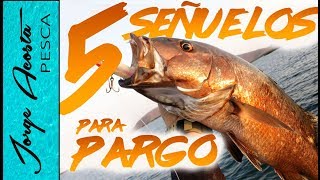 5 Señuelos para pescar PARGO  2019 [upl. by Ettenyl]