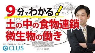 土の中の食物連鎖・微生物の働き 中学理科3年2分野 自然と人間2 [upl. by Serle]