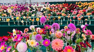 RHS WISLEY FLOWER SHOW 2024 [upl. by Anitserp]