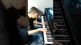 Appassionata great excerpt Beethoven classicalpiano piano appassionata YTshorts pianosonata [upl. by Tayler]