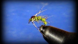 Fly Tying Holy Grail Nymph [upl. by Einahpets359]