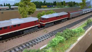 Traktionsfahrt quotARNOLDquot  quotLUDMILLAquot BR 130 DR  07072024  Modelleisenbahn Spur N  1160 [upl. by Zuliram779]