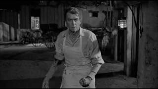 The Man Who Shot Liberty Valance 1 [upl. by Juley]