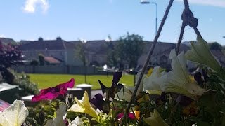 Sligo Town Co Sligo Ireland 🇮🇪 Today July 07 2024 [upl. by Simsar918]