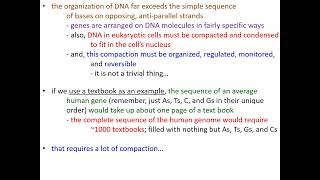 Molecular Genetics Part 1 [upl. by Lacym897]