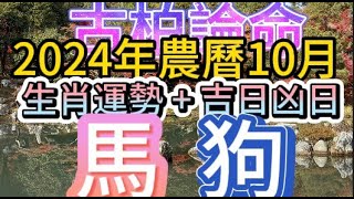 【古柏論命每月運勢吉日凶日】2024年農曆10月陽曆111  1130生肖運勢分享  馬＋狗 [upl. by O'Connell]