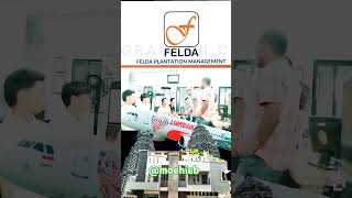 Felda Plantation Management indonesiadanmalaysia bekerjadimalaysia shorts [upl. by Nussbaum]