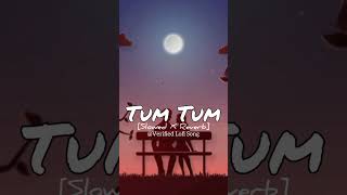 Tum Tum  Slowed X Reverb Lofi Status  reels whatsappstatus lofi shorts love trending [upl. by Oiraved]