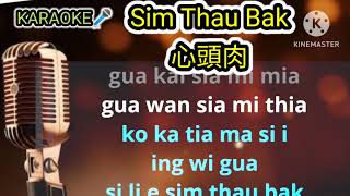 Sim Thau Bak 心頭肉  HOKKIAN 蔡義德 hokkien novocal karaoke lyrics by phinyin Male keys [upl. by Eserehs478]