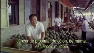 Forks Over Knives movie trailer subtitulado español [upl. by Herminia]