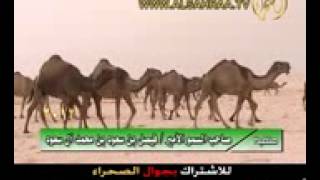 منقية الامير فيصل بن سعود بن محمد ال سعود [upl. by Adnovaj]