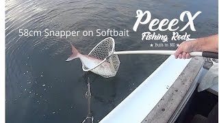 Soft Bait Fishing on light gear in Motuihe and Waiheke channel Friday 21st 2017 [upl. by Helprin295]