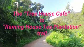 The Tree House Cafe to Raming House Tea Plantation Trail [upl. by Eadmund719]