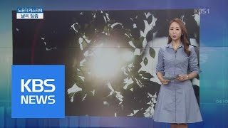 날씨 집중 때이른 ‘초여름’ 더위…경기·인천 오존 주의보  KBS뉴스News [upl. by Yasu]