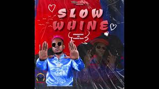 Mbokothostarmboks  Slow Whine ft Worldboy Official Audio [upl. by Lytsyrk]